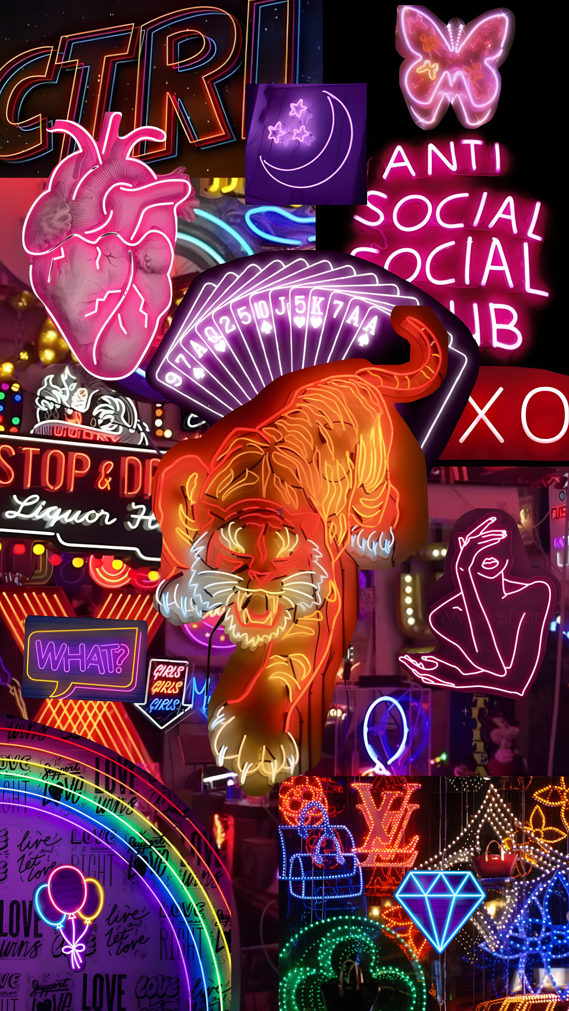 Tiger Street - Glass Case
